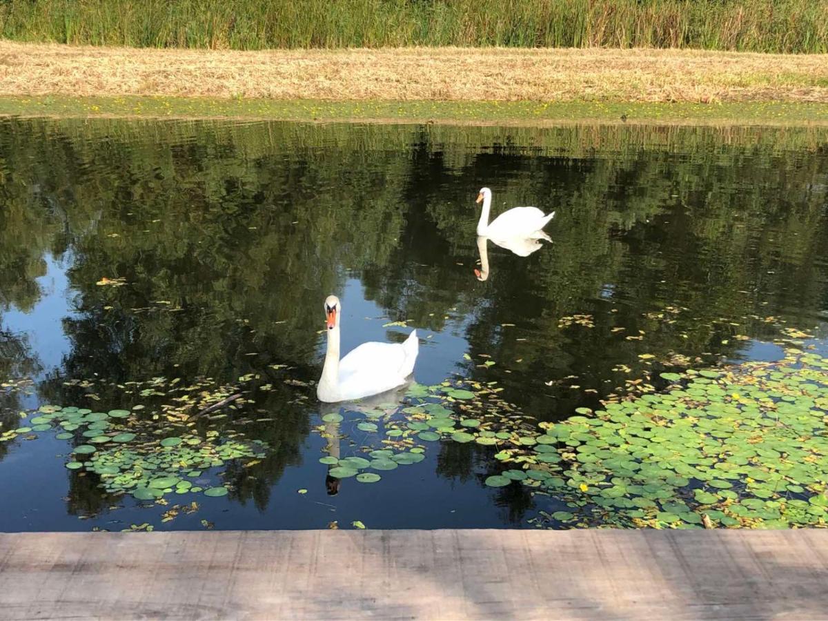 Kuca Za Odmor Guska Villa Kopács Kültér fotó